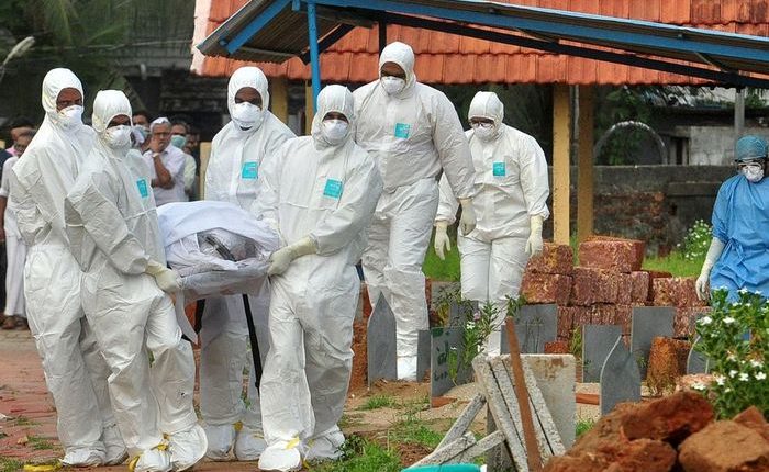 Kemenkes Minta Waspada Virus Nipah dari Malaysia