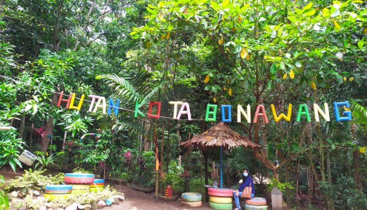 Disparbud Bakal Membangun 5 Tempat Berfoto di Hutan Kota Bonawang