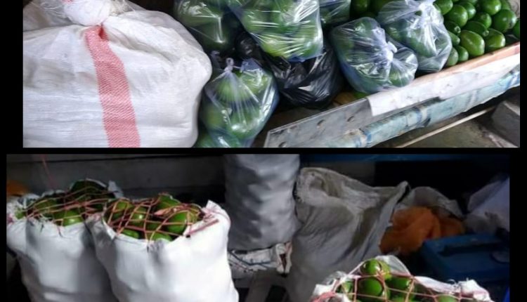 August Laode: Pengusaha Alpukat dengan Strategi Sinetron Love Story