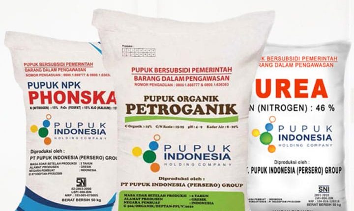 Tahun Ini Jatah Pupuk Bersubsidi Berkurang untuk Kotamobagu