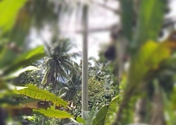 Nayodo Koerniawan Hadiri Pencanangan Desa Cantik